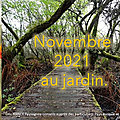 👨‍🌾 novembre au jardin paysagiste pays basque.