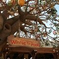 Disney Magic Kingdom (19)