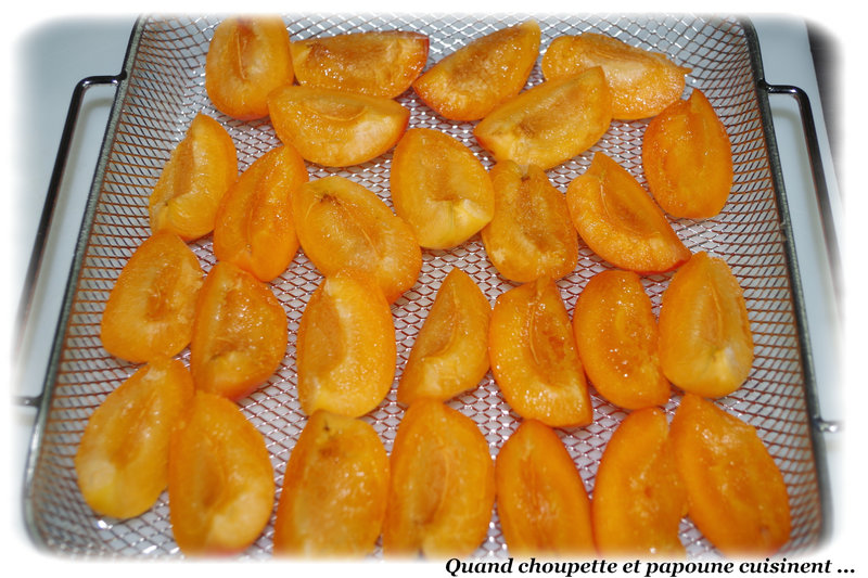 abricots déshydratés - glace vanille et pêche-7638