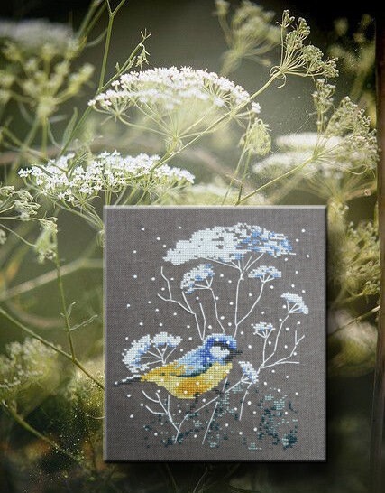 fleurs de carottes 1004