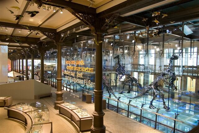 Galerie des Dinosaures ©Th.Hubin-Muséum
