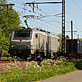 BB 27133 grise, Montboyer (Charente)
