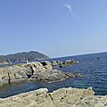 _DSC0367