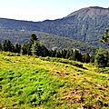 Pic Soulaing et prairies de Barlagne