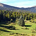 Le plateau du Cournau...
