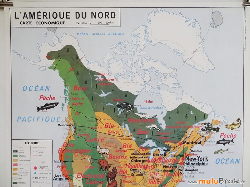 Carte-MDI-AMERIQUE-DU-NORD-ECONOMIQUE-1960-b-muluBrok