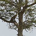 P1140632