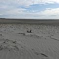 P1030294