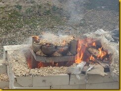 P1100972 P1100972