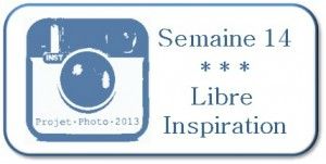 Sem-14_Libre-Inspiration-300x151