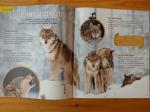Salamandre décembre janvier 21 (3)
