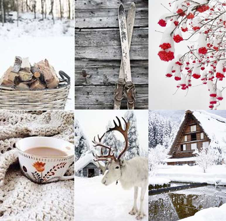 Moodboard Hivernal D Eli Les C