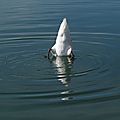 IMG_0055