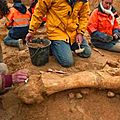 Un géant de 5 mètres de haut découvert sur un site archeologique en australie 