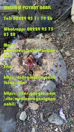 17141046_1609984985697536_895638501_n