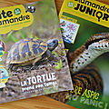 Juin-juillet avec salamandre junior et la petite salamandre + concours / cadeaux