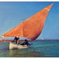 Voile Latine et pêche, Afrique du Nord...