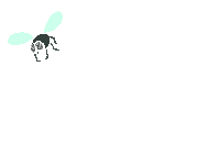 libellule_024