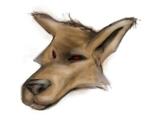 loup