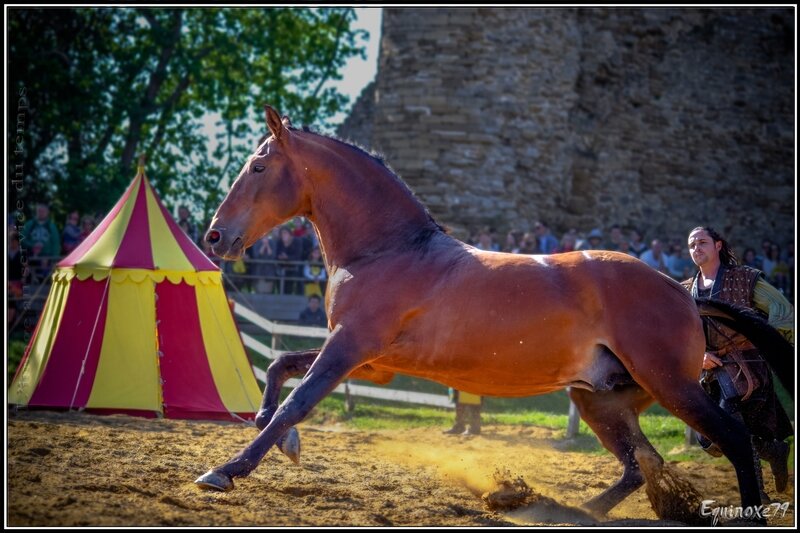 Fête médiévale du Château de Talmont (Vendée) equinoxe79 (28)