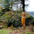 jardin de la chouette à Chamalières