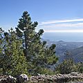 04/2013 randonnée sur le montchauve qui domine la ville de nice