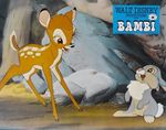 bambi_photo_france_1970s_2