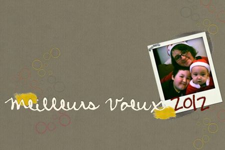 carte meilleurs voeux 2012 copie