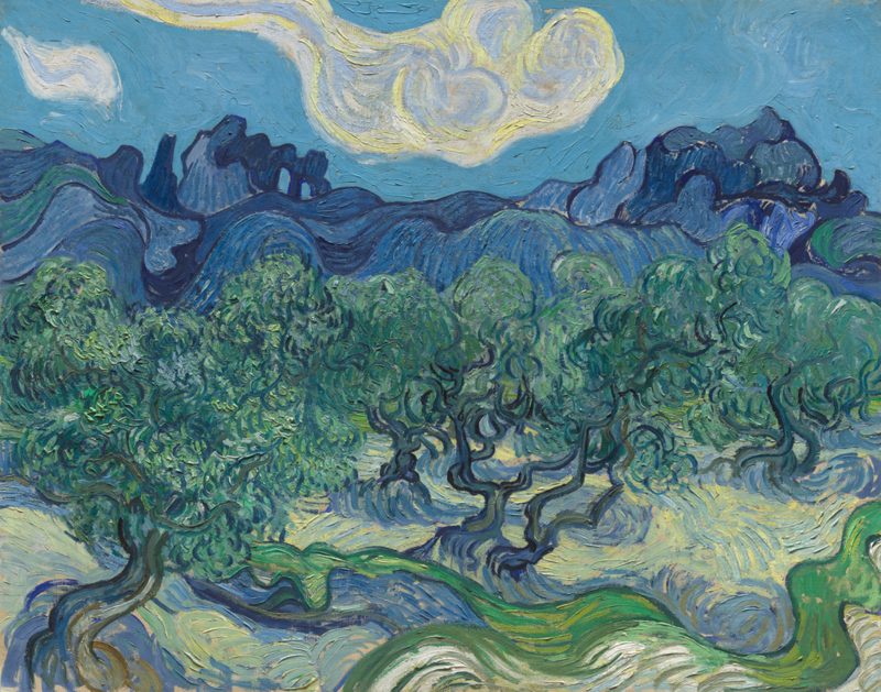web_Vincent van Gogh, The Olive Trees, June 1889