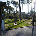 P1010419