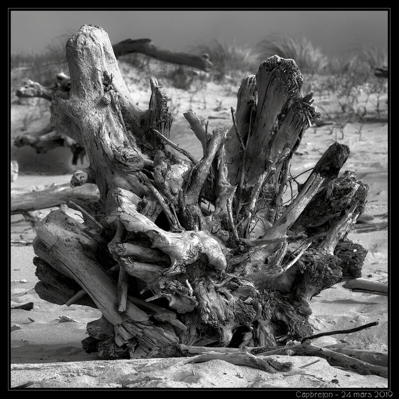 20190324_capbreton_plage_0016