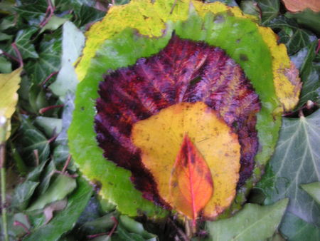 PICT0076