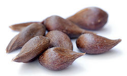 250px_Apple_seeds___variety_Prinzenapfel__aka_