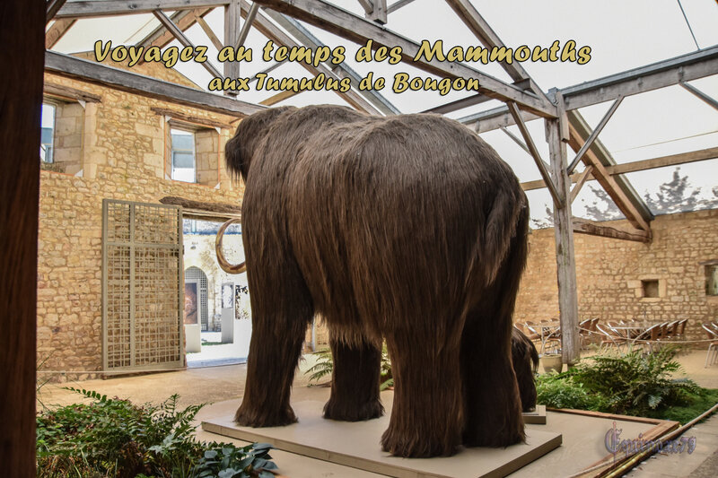 Voyagez au temps des Mammouths aux Tumulus de Bougon (4)