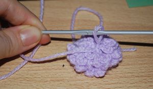 fleur_046