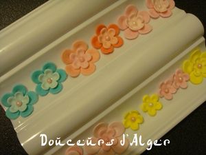 DSC04747