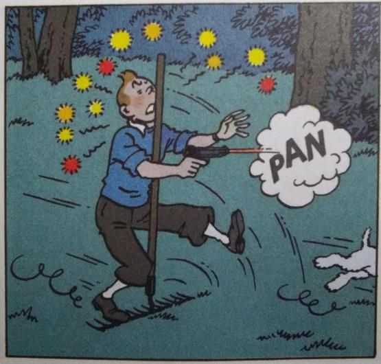 Tintin Se Mange Un Poteau Comme Une Merde La Vie Quotidienne De Tintin