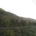 16102011 001