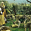 La cueillette des olives-Folklore