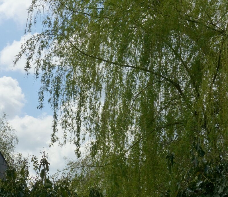 P1420753