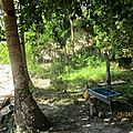 IMG_2039 (Copier)