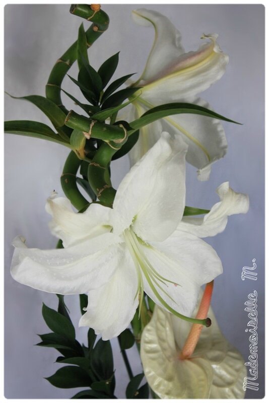 fleurs 1