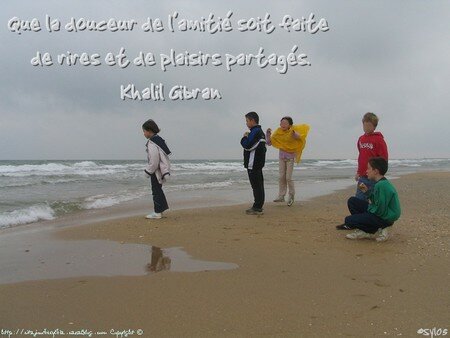 amis2