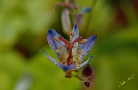 DSC_4155_border