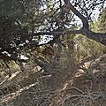 _DSC0356