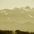 ania-24-sepia