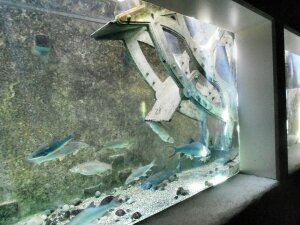 Grand Aquarium de Touraine (4)