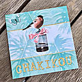 Marque chakikou