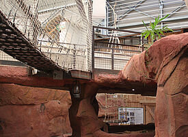 espace aventure ferme crocodile
