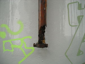 DSCN8043